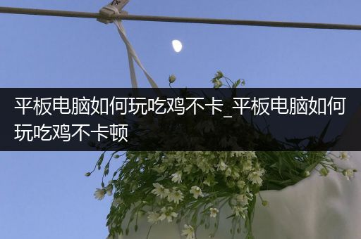 平板电脑如何玩吃鸡不卡_平板电脑如何玩吃鸡不卡顿