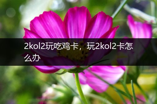 2kol2玩吃鸡卡，玩2kol2卡怎么办