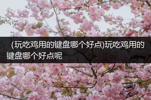 （玩吃鸡用的键盘哪个好点)玩吃鸡用的键盘哪个好点呢