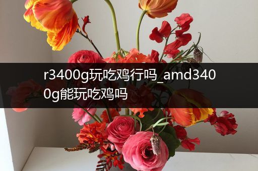 r3400g玩吃鸡行吗_amd3400g能玩吃鸡吗