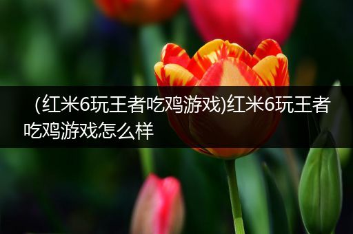 （红米6玩王者吃鸡游戏)红米6玩王者吃鸡游戏怎么样
