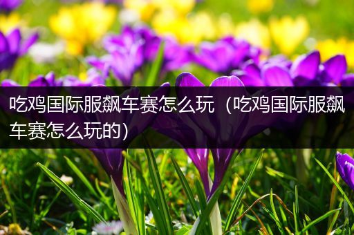 吃鸡国际服飙车赛怎么玩（吃鸡国际服飙车赛怎么玩的）