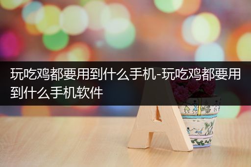 玩吃鸡都要用到什么手机-玩吃鸡都要用到什么手机软件