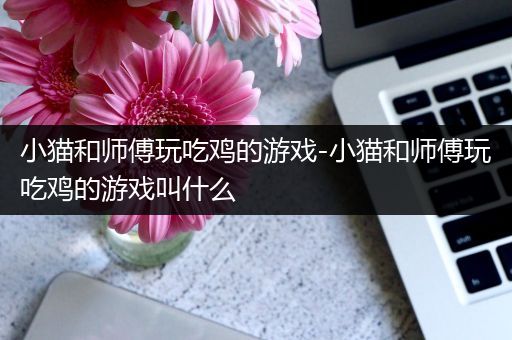 小猫和师傅玩吃鸡的游戏-小猫和师傅玩吃鸡的游戏叫什么