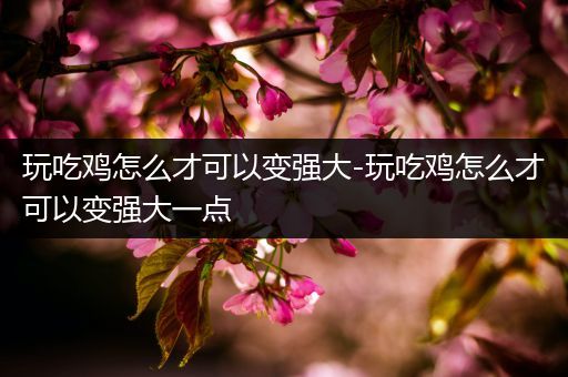 玩吃鸡怎么才可以变强大-玩吃鸡怎么才可以变强大一点