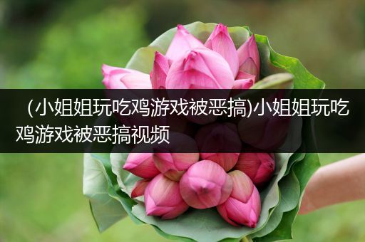 （小姐姐玩吃鸡游戏被恶搞)小姐姐玩吃鸡游戏被恶搞视频