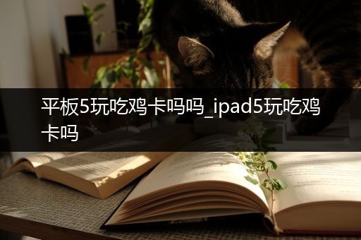 平板5玩吃鸡卡吗吗_ipad5玩吃鸡卡吗