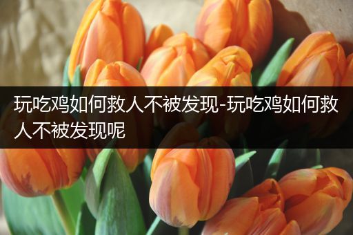 玩吃鸡如何救人不被发现-玩吃鸡如何救人不被发现呢
