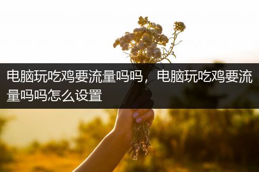 电脑玩吃鸡要流量吗吗，电脑玩吃鸡要流量吗吗怎么设置