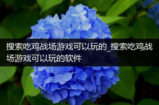 搜索吃鸡战场游戏可以玩的_搜索吃鸡战场游戏可以玩的软件