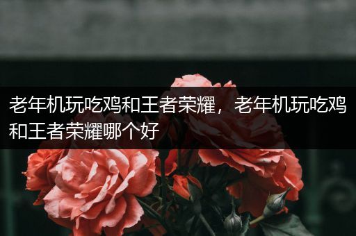老年机玩吃鸡和王者荣耀，老年机玩吃鸡和王者荣耀哪个好