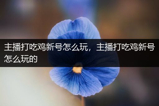 主播打吃鸡新号怎么玩，主播打吃鸡新号怎么玩的