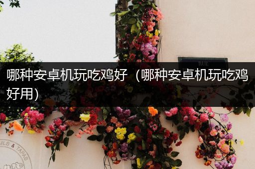 哪种安卓机玩吃鸡好（哪种安卓机玩吃鸡好用）