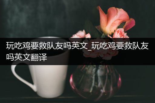 玩吃鸡要救队友吗英文_玩吃鸡要救队友吗英文翻译