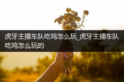 虎牙主播车队吃鸡怎么玩_虎牙主播车队吃鸡怎么玩的