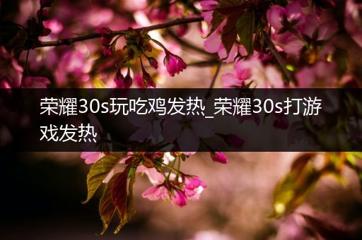 荣耀30s玩吃鸡发热_荣耀30s打游戏发热