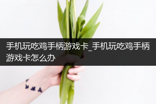 手机玩吃鸡手柄游戏卡_手机玩吃鸡手柄游戏卡怎么办