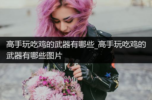 高手玩吃鸡的武器有哪些_高手玩吃鸡的武器有哪些图片