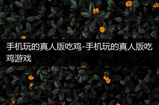 手机玩的真人版吃鸡-手机玩的真人版吃鸡游戏