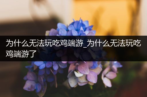 为什么无法玩吃鸡端游_为什么无法玩吃鸡端游了