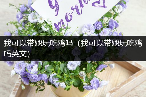我可以带她玩吃鸡吗（我可以带她玩吃鸡吗英文）