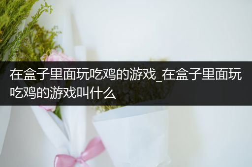 在盒子里面玩吃鸡的游戏_在盒子里面玩吃鸡的游戏叫什么