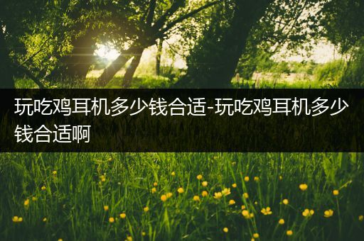 玩吃鸡耳机多少钱合适-玩吃鸡耳机多少钱合适啊