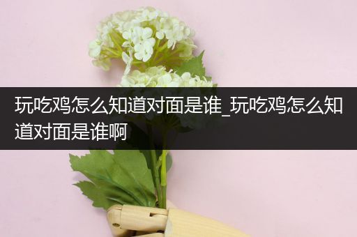 玩吃鸡怎么知道对面是谁_玩吃鸡怎么知道对面是谁啊