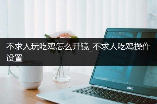 不求人玩吃鸡怎么开镜_不求人吃鸡操作设置