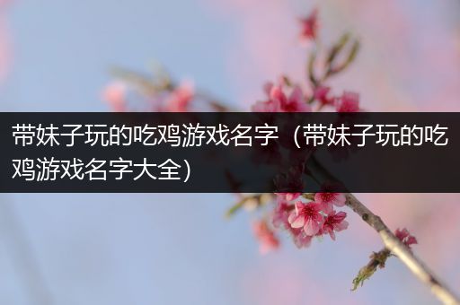 带妹子玩的吃鸡游戏名字（带妹子玩的吃鸡游戏名字大全）
