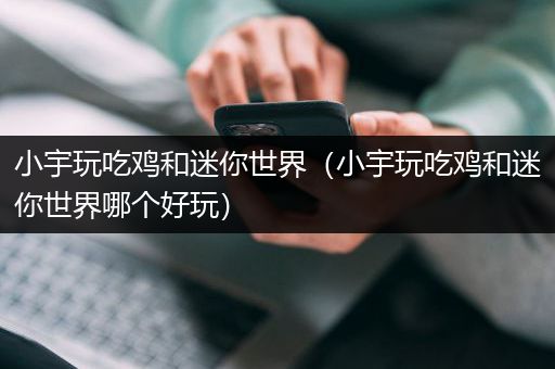 小宇玩吃鸡和迷你世界（小宇玩吃鸡和迷你世界哪个好玩）