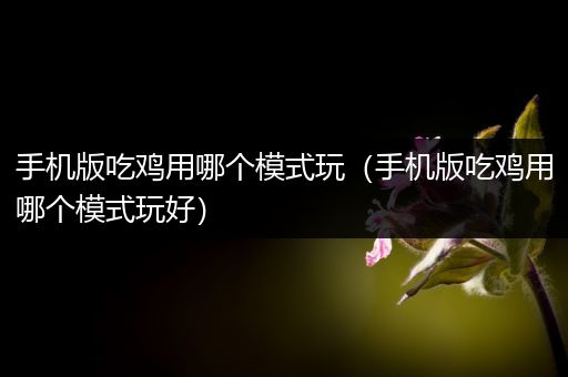 手机版吃鸡用哪个模式玩（手机版吃鸡用哪个模式玩好）
