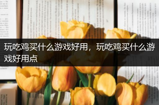 玩吃鸡买什么游戏好用，玩吃鸡买什么游戏好用点
