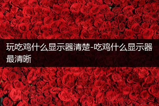 玩吃鸡什么显示器清楚-吃鸡什么显示器最清晰