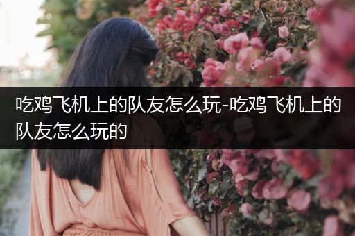 吃鸡飞机上的队友怎么玩-吃鸡飞机上的队友怎么玩的