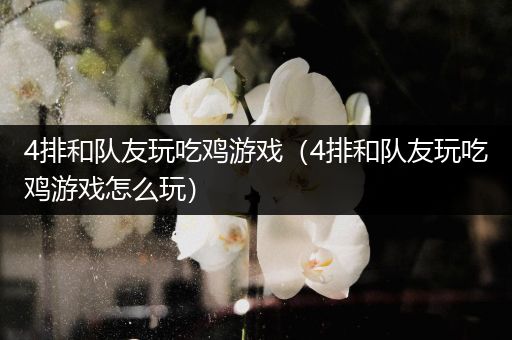 4排和队友玩吃鸡游戏（4排和队友玩吃鸡游戏怎么玩）