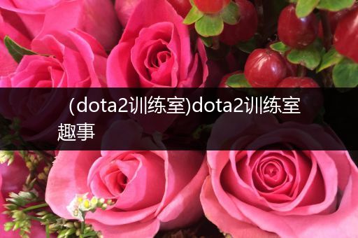 （dota2训练室)dota2训练室趣事