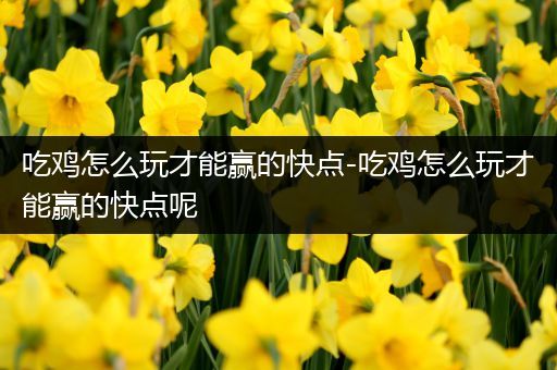吃鸡怎么玩才能赢的快点-吃鸡怎么玩才能赢的快点呢