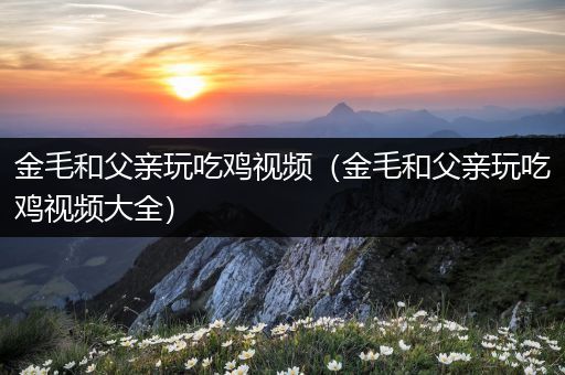 金毛和父亲玩吃鸡视频（金毛和父亲玩吃鸡视频大全）