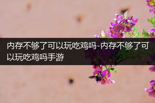 内存不够了可以玩吃鸡吗-内存不够了可以玩吃鸡吗手游