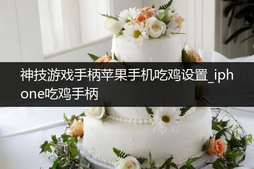 神技游戏手柄苹果手机吃鸡设置_iphone吃鸡手柄