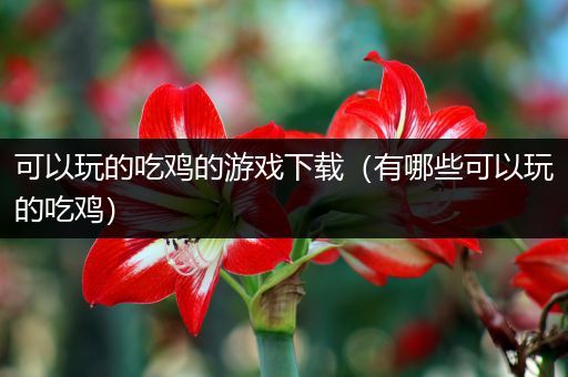 可以玩的吃鸡的游戏下载（有哪些可以玩的吃鸡）
