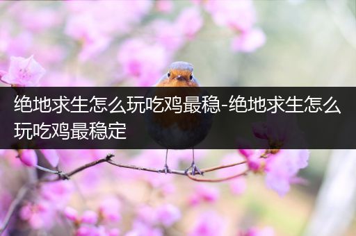 绝地求生怎么玩吃鸡最稳-绝地求生怎么玩吃鸡最稳定
