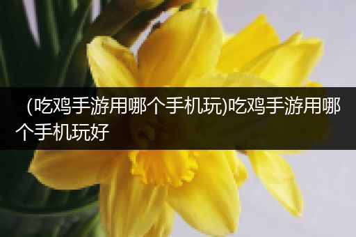 （吃鸡手游用哪个手机玩)吃鸡手游用哪个手机玩好