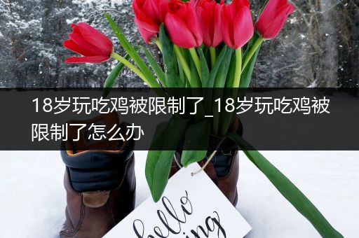 18岁玩吃鸡被限制了_18岁玩吃鸡被限制了怎么办