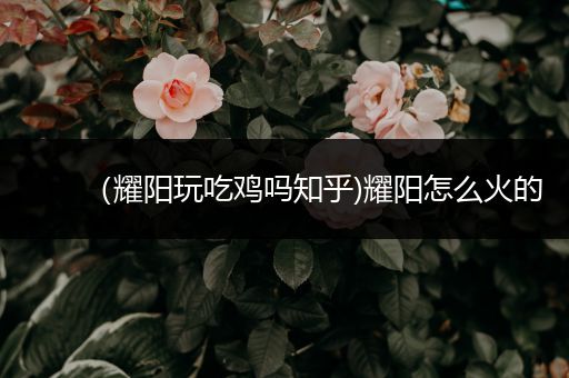 （耀阳玩吃鸡吗知乎)耀阳怎么火的