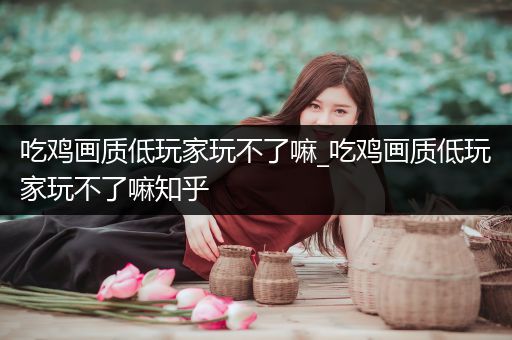 吃鸡画质低玩家玩不了嘛_吃鸡画质低玩家玩不了嘛知乎