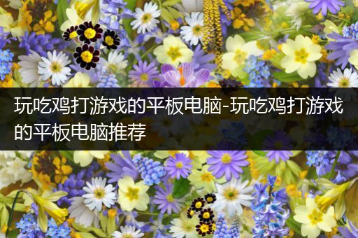 玩吃鸡打游戏的平板电脑-玩吃鸡打游戏的平板电脑推荐