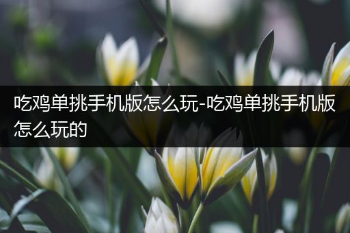 吃鸡单挑手机版怎么玩-吃鸡单挑手机版怎么玩的