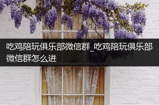 吃鸡陪玩俱乐部微信群_吃鸡陪玩俱乐部微信群怎么进